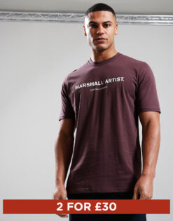 Stampa T-Shirt // Fig