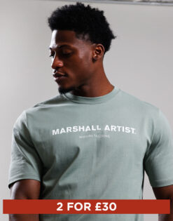 Stampa T-Shirt // Sage