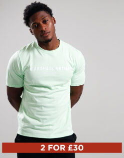 Stampa T-Shirt // Apple Green