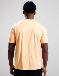 marshall-artist-delta-t-shirt-peach-2 206368